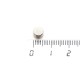 Neodymium disc magnet Ø 6 mm x 5 mm (Neodymium Magnets)