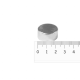 Neodymium disc magnet 22.5 x 20 mm (Neodymium Magnets)