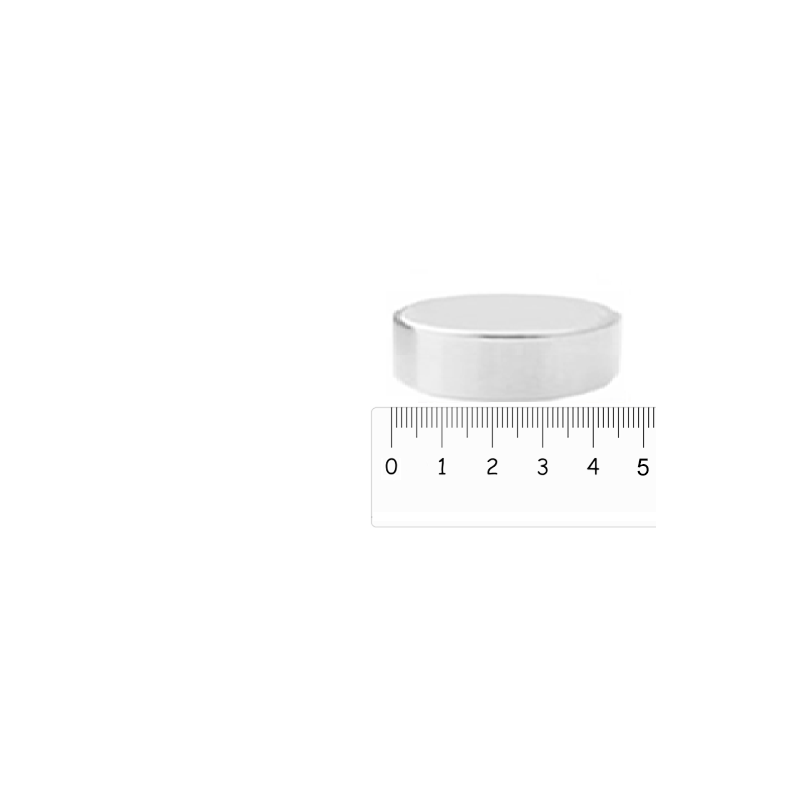Neodymium disc magnet Ø 45 x 10 mm (Neodymium Magnets)