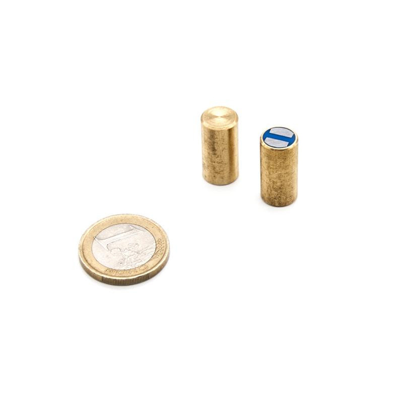 Pot magnétique Cylindrique 10x20mm, économique (Aimants Néodyme)