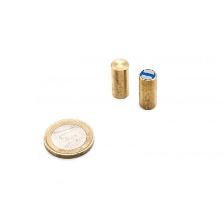 Base magnética cilíndrica de Neodimio 6 x 20 mm - Imanes