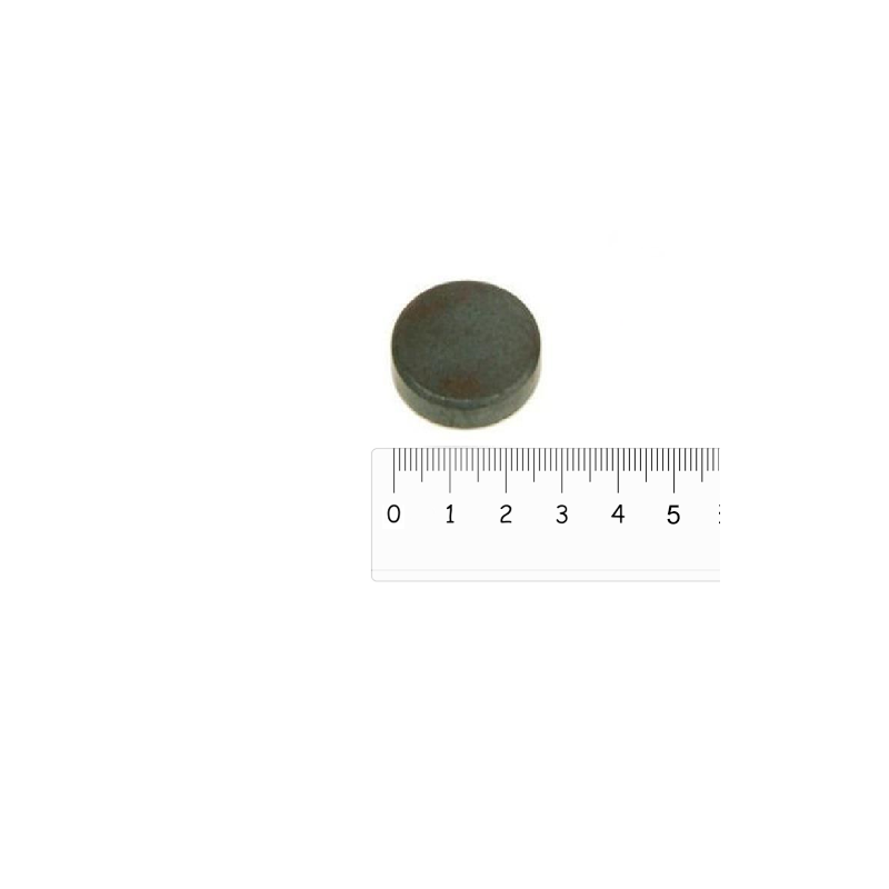 Disque magnétique Ferrite 25x5mm, pas cher (Aimants en ferrite)