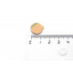 Disque magnétique Néodyme 10x2 mm (Aimants en néodyme)